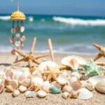 Seashell Crafts That Aren’t Tacky