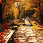 Transitioning Your Outdoor Spaces for Autumn